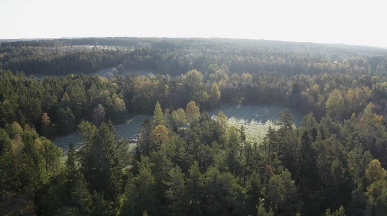 4. jennylund-starrkärr